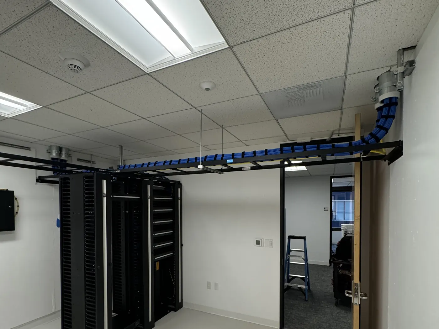 Ladder rack carrying blue cable bundles from the wall sleeve into the equipment racks