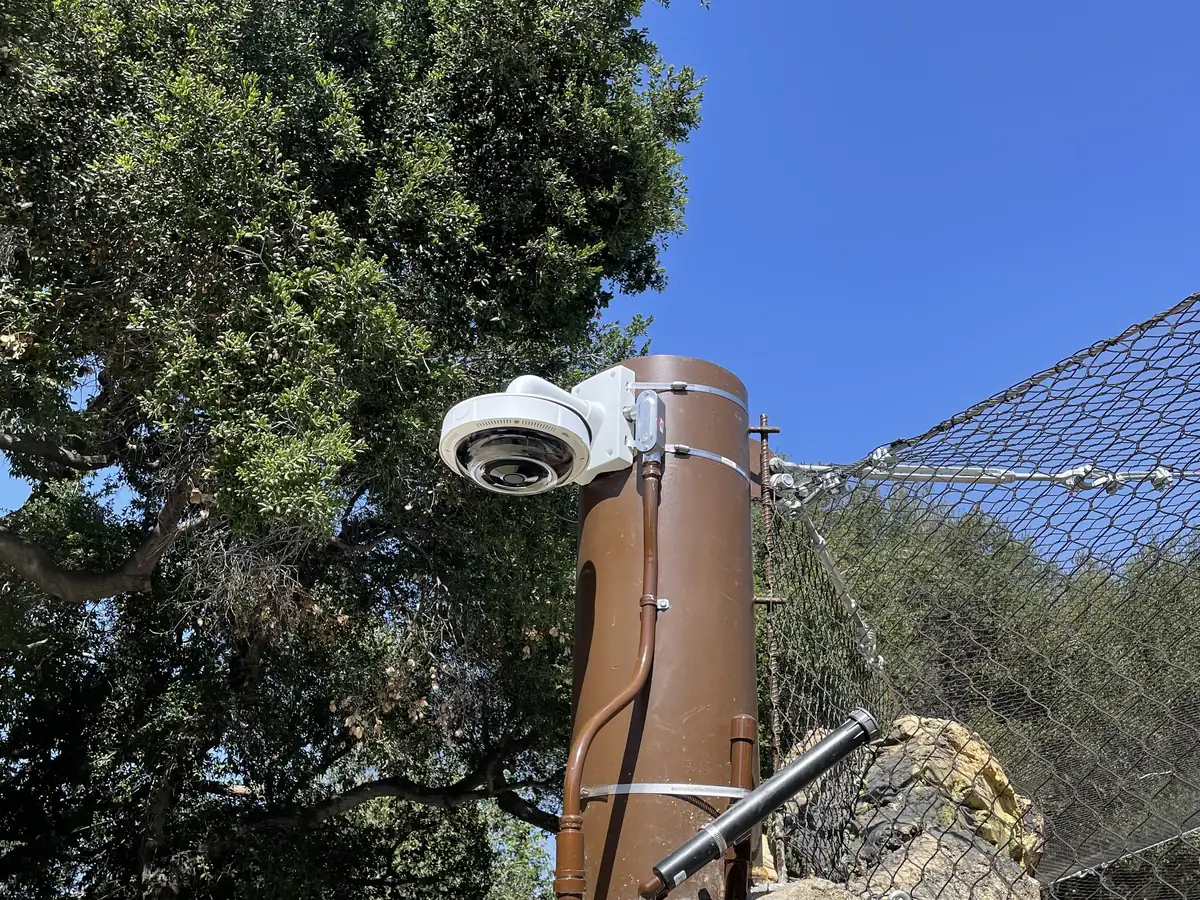 Dome camera mounted on a brown pole beside a tree and mesh netting at a County park facility